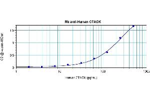 Sandwich ELISA using ESkine / CCL27 antibody (CCL27 抗体)