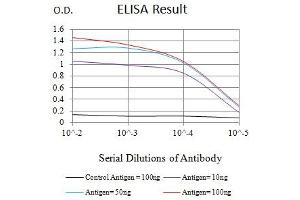 Black line: Control Antigen (100 ng),Purple line: Antigen (10 ng), Blue line: Antigen (50 ng), Red line:Antigen (100 ng) (Asialoglycoprotein Receptor 2 抗体  (AA 80-311))