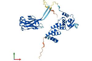 Protein Structure (PS) image for Speckle-Type POZ Protein (SPOP-B) (AA 1-374) protein (His tag) (ABIN7555590)
