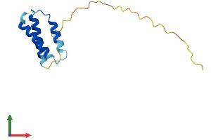 Protein Structure (PS) image for Succinate Dehydrogenase Complex Assembly Factor 1 (SDHAF1) (AA 1-115) protein (His tag) (ABIN7545932)