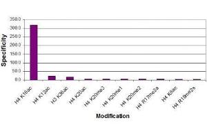 Histone H4K16ac antibody (pAb) specificity tested by peptide array analysis. (Histone H4 抗体  (acLys16))