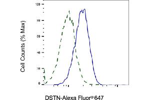 Validation of DSTN knockdown using flow cytometry. (Destrin 抗体)