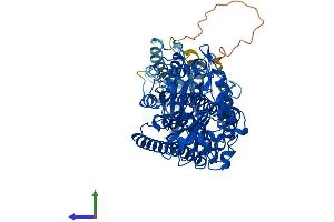 Protein Structure (PS) image for Arachidonate Lipoxygenase 3 (ALOXE3) (AA 1-711) protein (His tag) (ABIN7565226)