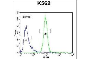 Flow Cytometry (FACS) image for anti-Olfactory Receptor, Family 52, Subfamily A, Member 1 (OR52A1) (AA 248-276), (C-Term) antibody (ABIN654497)