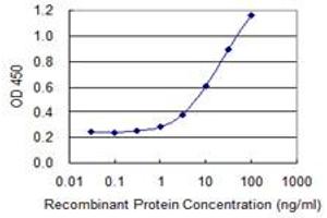 Detection limit for recombinant GST tagged TSC22D3 is 0. (TSC22D3 抗体  (AA 1-77))