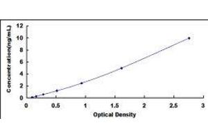 ELISA image for serine/arginine-Rich Splicing Factor 4 (SRSF4) ELISA Kit (ABIN428104)
