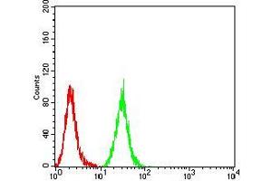 Flow cytometric analysis of Hela cells using MIB1 mouse mAb (green) and negative control (red). (MIB1 抗体  (AA 6-221))