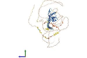 Protein Structure (PS) image for TSPY-Like 2 (TSPYL2) (AA 1-677) protein (His tag) (ABIN7558274)