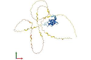 AlphaFold protein structure predicition of Human Recombinant YBX2 Protein, UniprotID Q9Y2T7