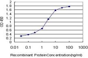 ELISA image for anti-Phosphatidylinositol-4-Phosphate 5-Kinase, Type I, gamma (PIP5K1C) (AA 561-667) antibody (ABIN565064)
