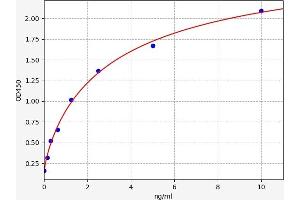 Typical standard curve (RBP1 ELISA 试剂盒)