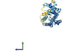 Protein Structure (PS) image for Olfactory Receptor, Family 56, Subfamily B, Member 4 (OR56B4) (AA 1-319) protein (His tag) (ABIN7550227)