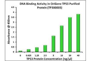 Activity Assay (AcA) image for Tumor Protein P53 (TP53) (Transcript Variant 1) protein (Myc-DYKDDDDK Tag) (ABIN2734068)