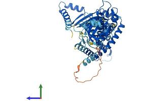 Protein Structure (PS) image for Membrane-Bound Transcription Factor Peptidase, Site 2 (MBTPS2) (AA 1-515) protein (His tag) (ABIN7559350)