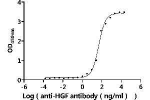 Measured by its binding ability in a functional ELISA.