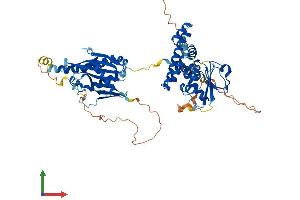 Protein Structure (PS) image for Folliculin (FLCN) (AA 1-579) protein (His tag) (ABIN7547704)