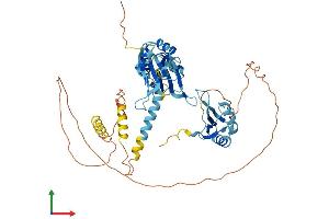 Protein Structure (PS) image for CUGBP, Elav-Like Family Member 1 (CELF1) (AA 1-486) protein (His tag) (ABIN7563057)