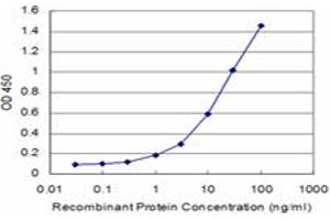 Detection limit for recombinant GST tagged AKT2 is approximately 1ng/ml as a capture antibody. (AKT2 抗体  (AA 100-189))