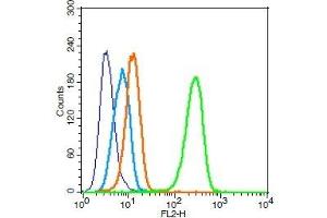 Human U251 cells probed with APJ Receptor Polyclonal Antibody, Unconjugated  (green) at 1:100 for 30 minutes followed by a PE conjugated secondary antibody compared to unstained cells (blue), secondary only (light blue), and isotype control (orange). (Apelin Receptor 抗体  (AA 52-66))