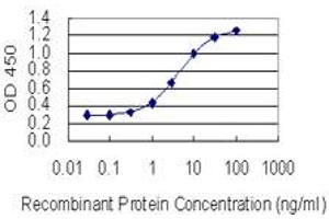 Detection limit for recombinant GST tagged KIF21B is 0. (KIF21B 抗体  (AA 1183-1282))