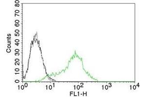 Flow Cytometric Analysis of human Ku (p70/p80) on 293T cells. (XRCC6/XRCC5 抗体)