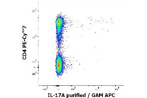 Flow cytometry multicolor intracellular staining of PHA stimulated and Brefeldin A treated peripheral whole blood showing lymphocytes stained using anti-human CD4 (MEM-241) PE-Cy™7 antibody (4 μL reagent / 100 μL of peripheral whole blood) and anti-human IL-17A (9F9) purified antibody (concentration in sample 0,5 μg/mL, GAM APC). (Interleukin 17a 抗体)