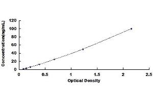 Typical standard curve (METRNL ELISA 试剂盒)