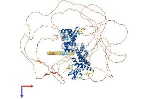 AlphaFold protein structure predicition of Human Recombinant RC3H2 Protein, UniprotID Q9HBD1 (RC3H2 Protein (AA 1-1191) (His tag))