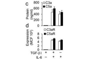 C3a antibody (ABIN285285): Sorted WT Foxp3− CD4+ T cells were incubated for 48 hr with anti-CD3+CD28 beads plus TGF-β1 alone, TGF-β1+IL-6, or IL-6 alone as in (b). (C3a 抗体)