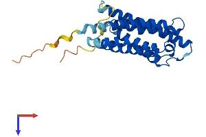 Cytochrome B-561 Domain Containing 1 (CYB561D1) (AA 1-229) protein (His tag)