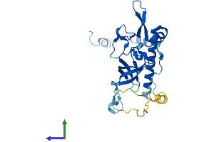AlphaFold protein structure predicition of Mouse Recombinant Nsa2 Protein, UniprotID Q9CR47
