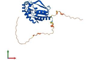Protein Structure (PS) image for Uridine-Cytidine Kinase 1 (UCK1) (AA 1-277) protein (His tag) (ABIN7545032)