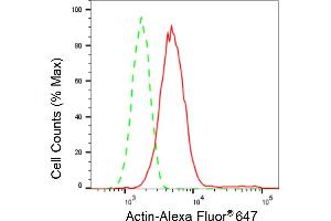 Flow cytometric analysis of Actin expression in HT- cells using Actin antibody (ABIN7797459), 1:2,000). (Recombinant Actin 抗体)