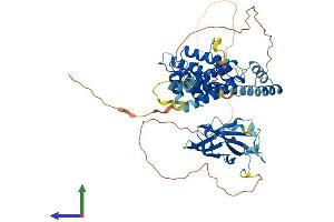 Protein Structure (PS) image for Golgi-Associated, gamma Adaptin Ear Containing, ARF Binding Protein 2 (GGA2) (AA 1-613) protein (His tag) (ABIN7547974)