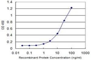 Detection limit for recombinant GST tagged CDH19 is 0. (CDH19 抗体  (AA 231-340))