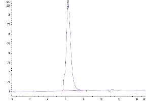 Size-exclusion chromatography-High Pressure Liquid Chromatography (SEC-HPLC) image for Sialic Acid Binding Ig-Like Lectin 5 (SIGLEC5) (AA 17-434) protein (Fc Tag) (ABIN7275589)