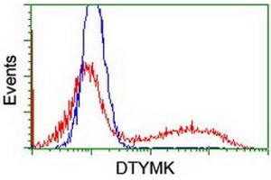 Flow Cytometry (FACS) image for anti-Deoxythymidylate Kinase (Thymidylate Kinase) (DTYMK) antibody (ABIN1497920) (DTYMK 抗体)