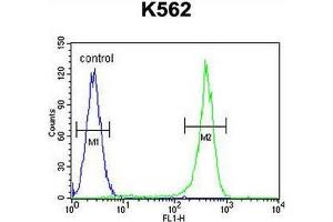 Flow Cytometry (FACS) image for anti-Corticotropin Releasing Hormone Receptor 2 (CRHR2) (AA 27-58) antibody (ABIN951704)