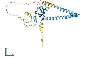 Protein Structure (PS) image for Ring Finger Protein 182 (RNF182) (AA 1-247) protein (His tag) (ABIN7551518)