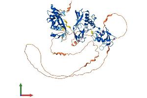 Protein Structure (PS) image for Deltex Homolog 2 (DTX2) (AA 1-619) protein (His tag) (ABIN7564703)