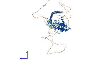 AlphaFold protein structure predicition of Human Recombinant ARHGAP25 Protein, UniprotID P42331