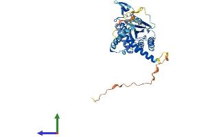 Protein Structure (PS) image for Septin 12 (Sep12) (AA 1-358) protein (His tag) (ABIN7545971)