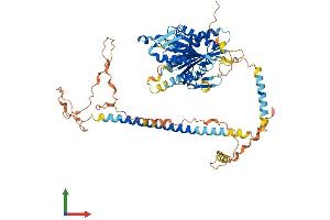 Protein Structure (PS) image for Kinesin Family Member 12 (KIF12) (AA 1-646) protein (His tag) (ABIN7548782)