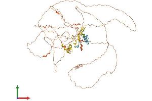 Protein Structure (PS) image for Coiled-Coil Domain Containing 8 (CCDC8) (AA 1-685) protein (His tag) (ABIN7562098)
