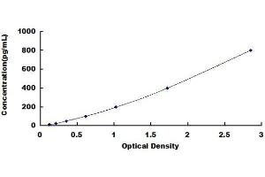 ELISA image for Procollagen III C-Terminal Propeptide (PIIICP) ELISA Kit (ABIN1571858) (PIIICP ELISA 试剂盒)