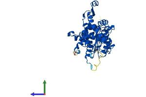 AlphaFold protein structure predicition of Human Recombinant DHPS Protein, UniprotID P49366