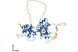 Protein Structure (PS) image for SMAD, Mothers Against DPP Homolog 7 (SMAD7) (AA 1-426) protein (His tag) (ABIN7562293)