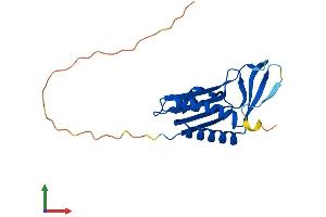 Protein Structure (PS) image for Molybdenum Cofactor Synthesis 2 (MOCS2) (AA 1-189) protein (His tag) (ABIN7556405)