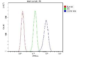 Flow Cytometry analysis of A431 cells using anti-COPE antibody (ABIN7602509).