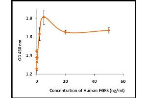Activity Assay (AcA) image for Fibroblast Growth Factor 3 (FGF3) (Active) protein (ABIN5509489) (FGF3 蛋白)